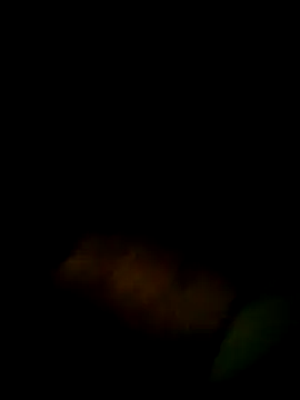 Snapshot of Yerackhip chatting on 03.09.26 Yerackhip online show from 03.09.26