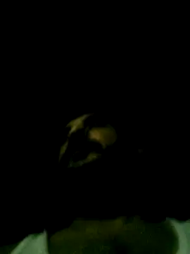 Snapshot of Yerackhip chatting on 03.24.26 Yerackhip online show from 03.24.26