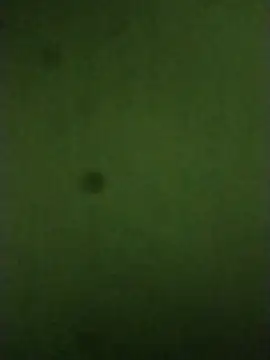 sexychd online show from 12.14.25