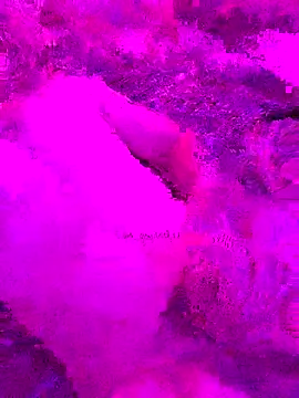 Snapshot of PitoDuroWuero chatting on 11.27.25 PitoDuroWuero online show from 11.27.25