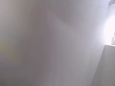 Snapshot of HarleyPassion chatting on 11.07.25 HarleyPassion online show from 11.07.25