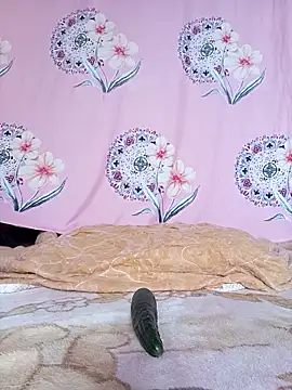 Snapshot of sdlmona chatting on 12.20.25 sdlmona online show from 12.20.25