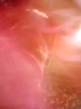 Jooli cuty online show from 03.14.26