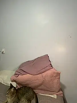 lele inocente online show from 03.11.26