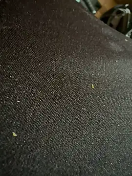 Snapshot of caramello-48888 chatting on 02.16.26 caramello-48888 online show from 02.16.26