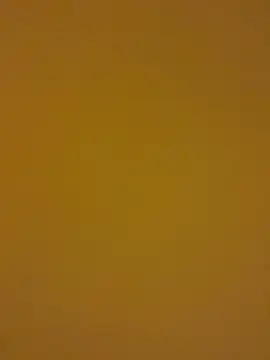 Snapshot of kentojp chatting on 11.14.25 kentojp online show from 11.14.25