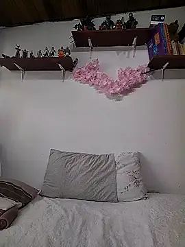 Snapshot of salomehill1 chatting on 12.17.25 salomehill1 online show from 12.17.25