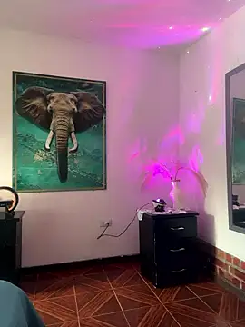 Snapshot of alisaa_jhons1 chatting on 01.17.26 alisaa jhons1 online show from 01.17.26