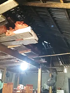 Snapshot of bibo-sex chatting on 11.26.25 bibo-sex online show from 11.26.25