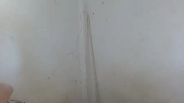 the breasts of desir  online show from 11.11.25