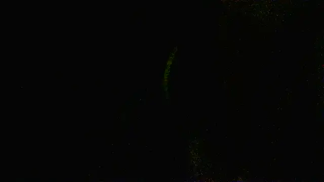 Zulreyna online show from 05.06.26