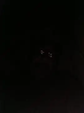 bruno 324278 online show from 05.28.26