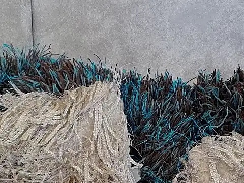 LannyShell online show from 11.26.25