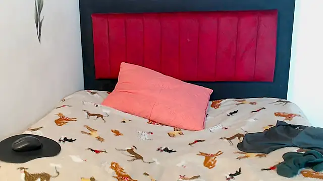 Snapshot of AMARYXS chatting on 02.13.26 AMARYXS online show from 02.13.26