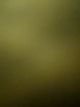 Snapshot of crazy_boy55 chatting on 12.15.25 crazy boy55 online show from 12.15.25