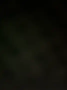 trickydickydaddy online show from 03.13.26