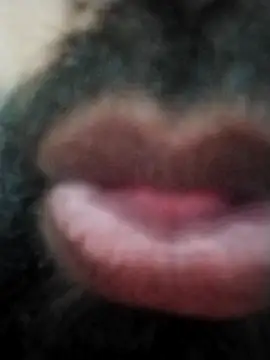 Snapshot of hyderabad_single chatting on 11.24.25 hyderabad single online show from 11.24.25