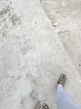 Pagalladka-89 online show from 12.01.25