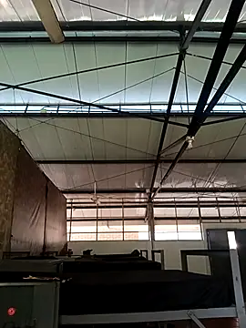 Snapshot of MonasticCanine chatting on 11.26.25 MonasticCanine online show from 11.26.25