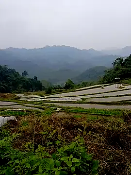 Cloud-wh online show from 03.14.26