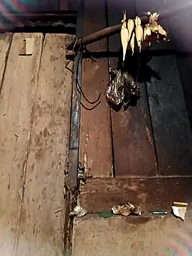 -Chua-90 online show from 02.26.26