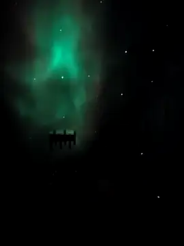 arcacsel online show from 11.24.25