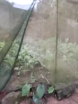 gugu0022 online show from 02.25.26