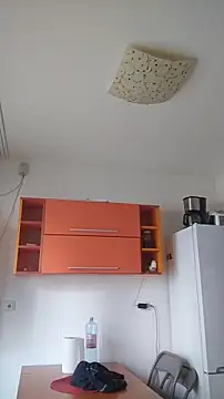 Dale E online show from 01.28.25