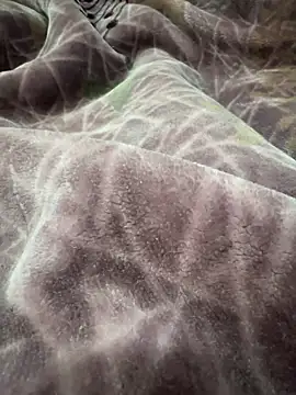 Snapshot of Afganiboy chatting on 02.04.26 Afganiboy online show from 02.04.26