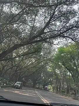 Snapshot of sexyayeshadesi chatting on 11.20.25 sexyayeshadesi online show from 11.20.25