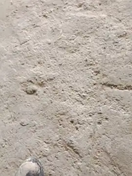 Paugostoso270515 online show from 03.24.26