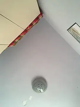 Snapshot of Mistliu chatting on 11.19.25 Mistliu online show from 11.19.25