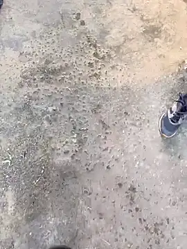 Playboy pune  online show from 11.19.25