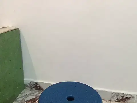 raveena hot online show from 03.08.26