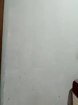 moreninhazinha online show from 03.11.26