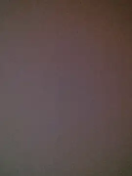 DeflatedBehavior online show from 03.08.26