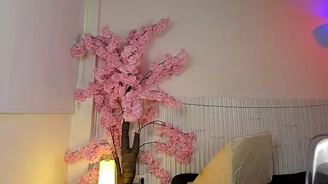 Snapshot of Nicole_diaz7 chatting on 12.01.25 Nicole diaz7 online show from 12.01.25