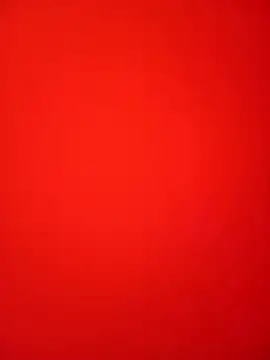 Bold Quinn online show from 02.12.26