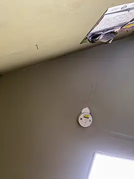 24denio online show from 03.07.26