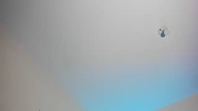 stanandrose  online show from 05.03.26