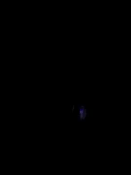 00x0x00 online show from 03.29.26