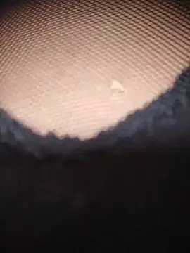 Snapshot of AnaMaria-12 chatting on 12.17.25 AnaMaria-12 online show from 12.17.25