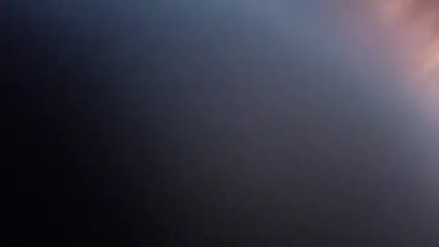 Snapshot of NIKIBUNNY chatting on 11.30.25 NIKIBUNNY online show from 11.30.25