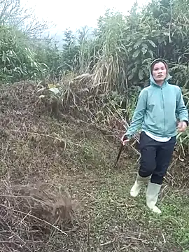 nangmo online show from 03.05.26