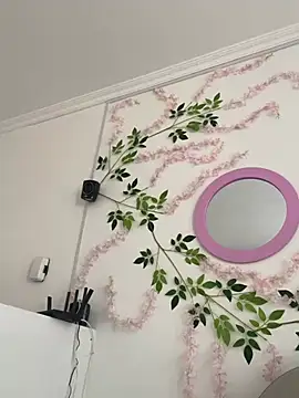 SOL EF online show from 03.10.26