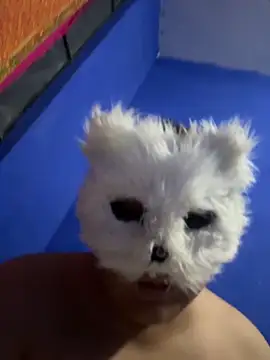 Snapshot of aricub chatting on 12.16.25 aricub online show from 12.16.25