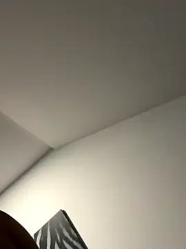 Snapshot of Dig_Bick44 chatting on 11.29.25 Dig Bick44 online show from 11.29.25