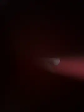 PartiedOmelet online show from 11.24.25