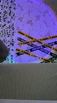 Snapshot of Rabizoon chatting on 01.16.26 Rabizoon online show from 01.16.26