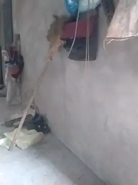 tieutam122 online show from 03.02.26